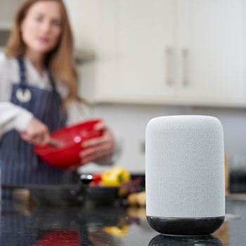 Voice Assistant Control